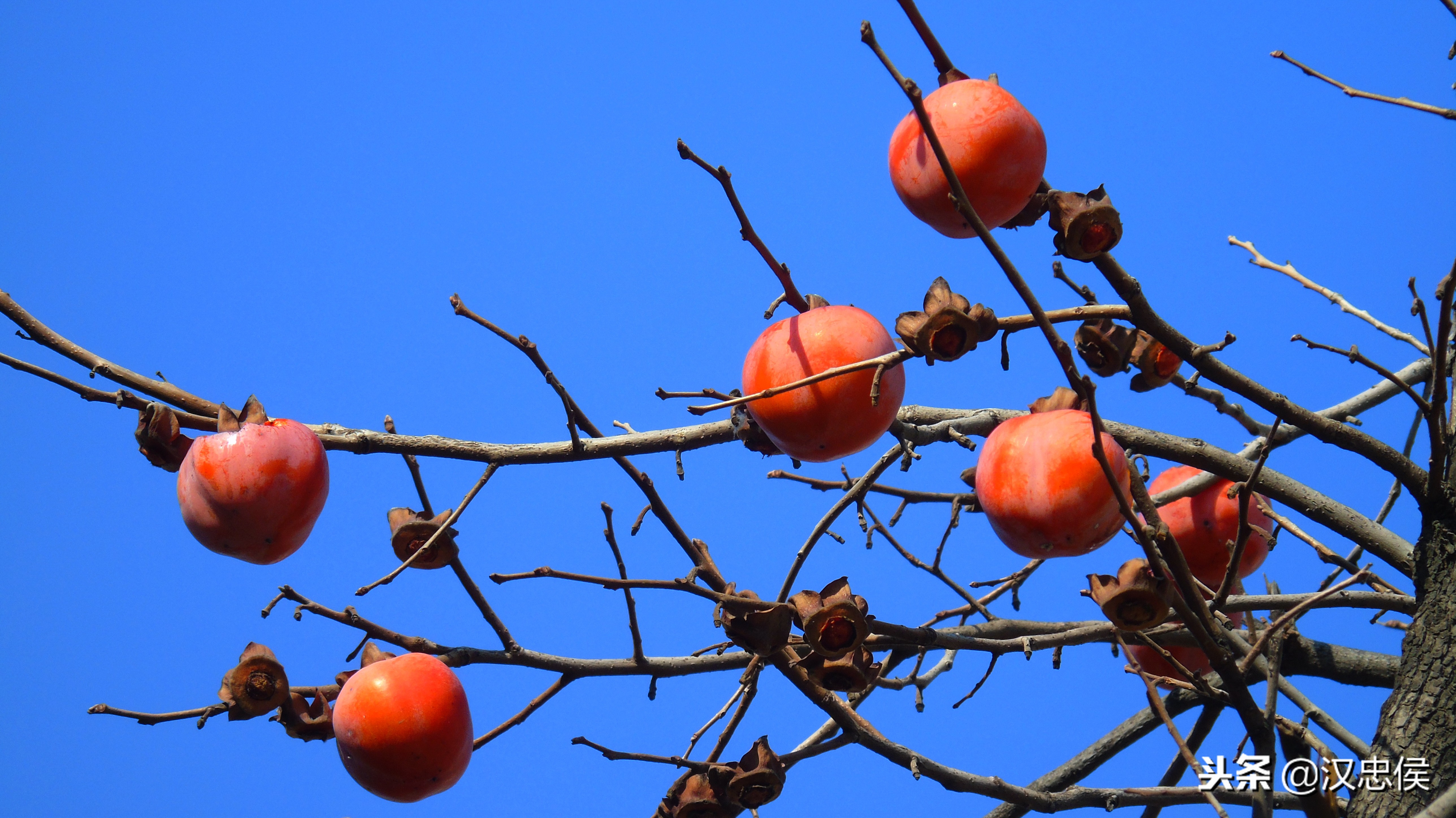 3000以内性价比超高的二手相机,适合拍摄的二手相机