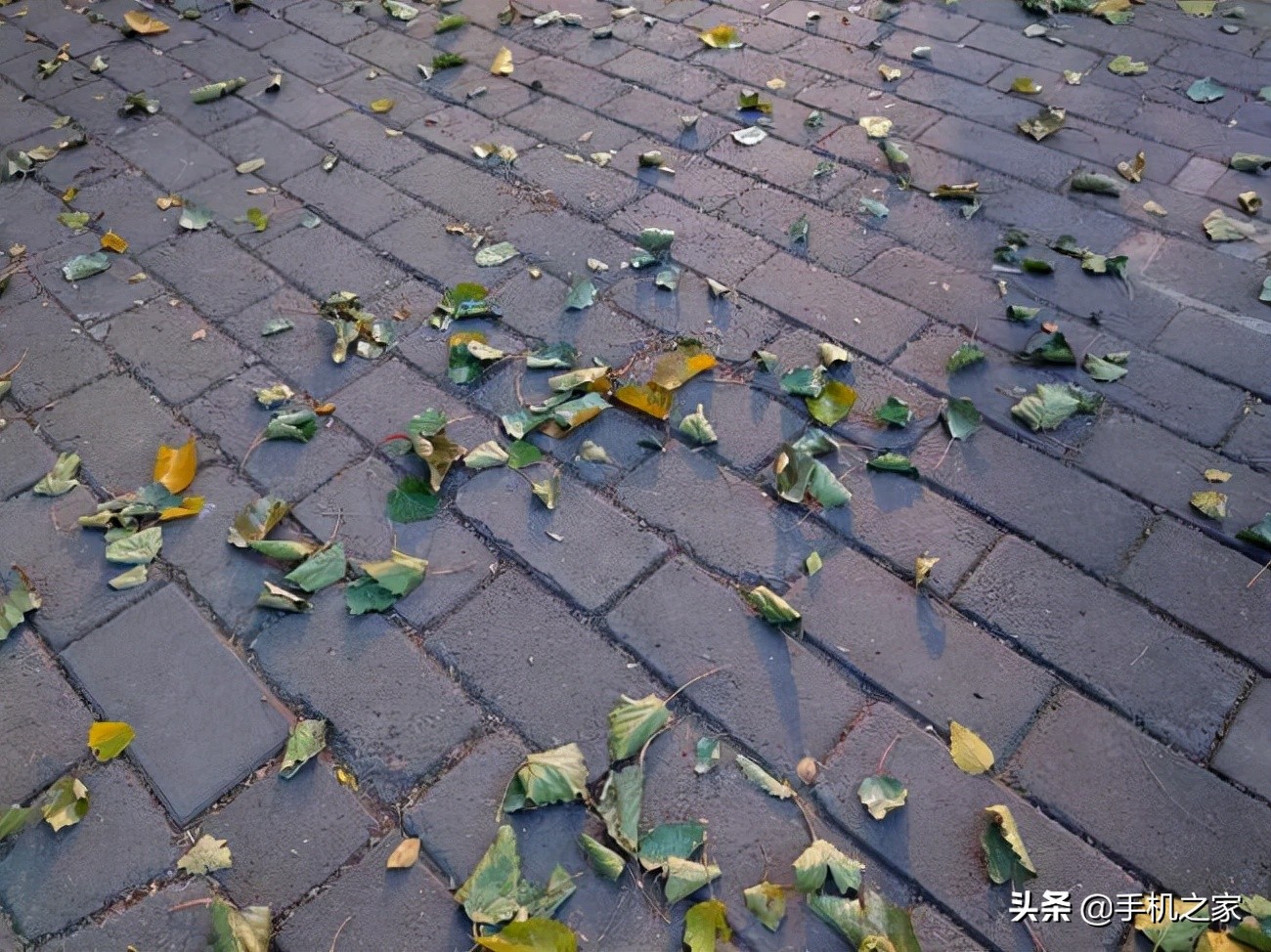 xperiapro-i拍摄体验视频,索尼微单手机xperiapro-i最新