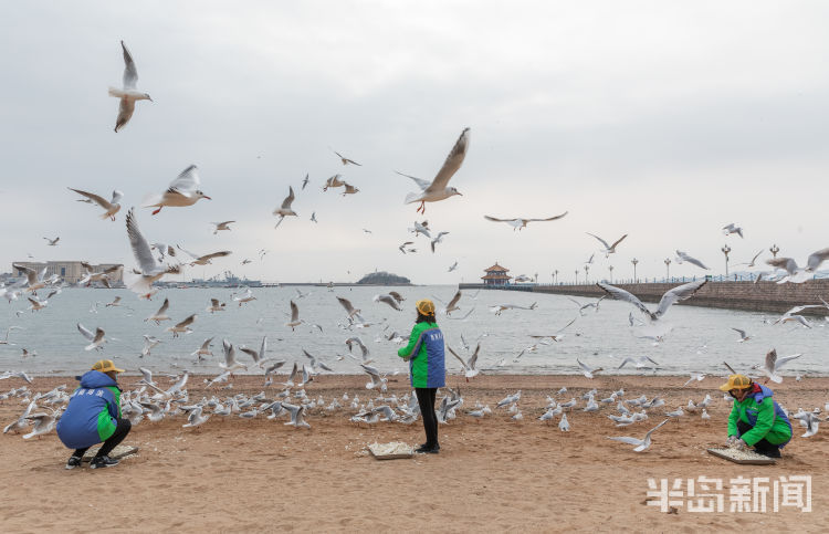 青岛站在海边冷不冷,青岛海边现在冷不冷