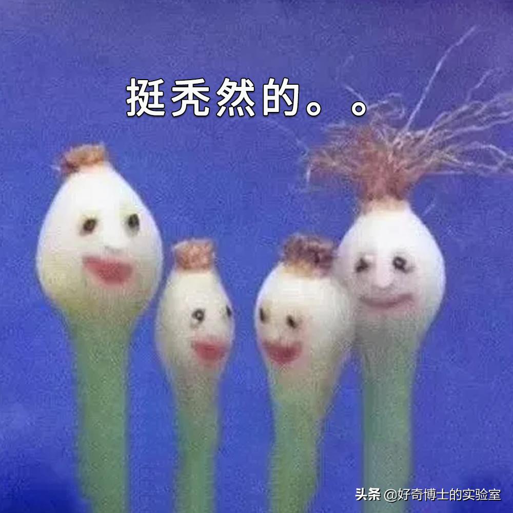 怎么样才可以让身体香香的,怎样让身体有香香的味道