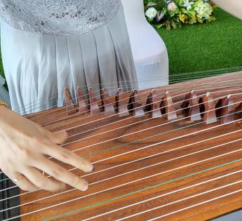 学习古筝有什么好处动画,学习古筝对大脑有好处吗