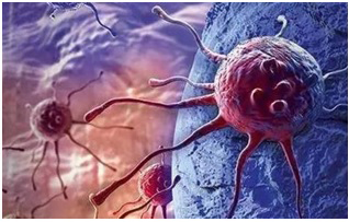 免疫治疗与中药的区别,免疫治疗药都一样吗