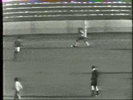 球王贝利影响力,球王贝利和马拉多纳谁影响力大