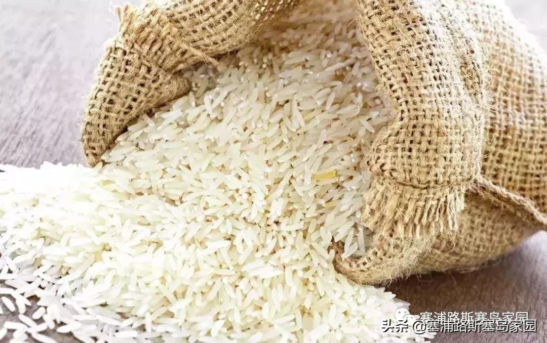 塞浦路斯国家生活成本,塞浦路斯每天消费