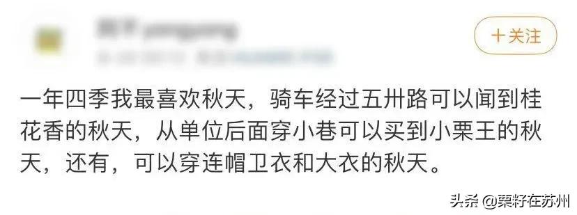 苏州古城区步行道,苏州古城步行线路石路