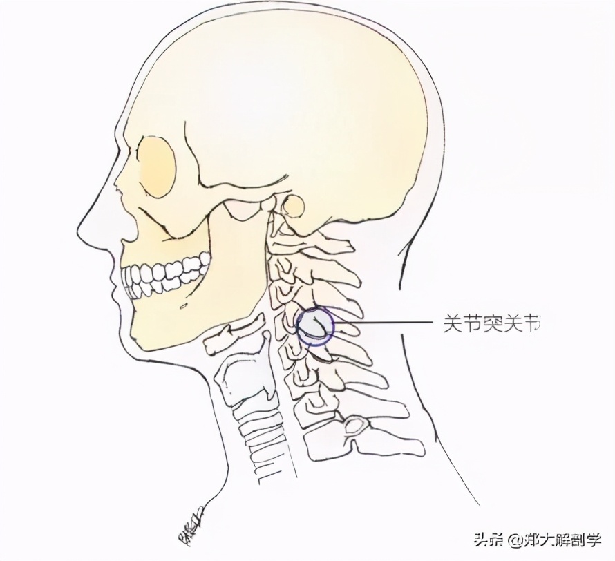 推拿颈椎手法,颈椎手法治疗立竿见影