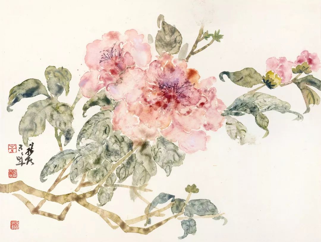 花卉好看的中国画,白描花卉临摹图片简单中国画