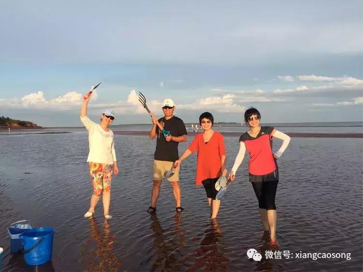 漂洋过海来挖宝,漂洋过海去台湾吃海鲜