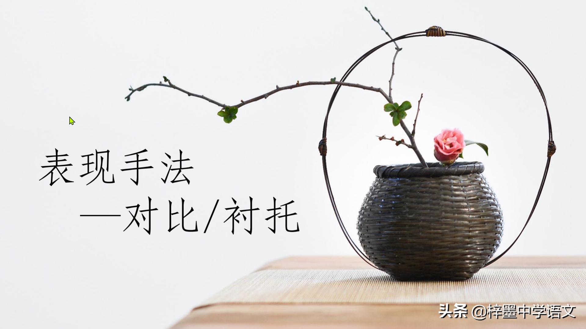 语文阅读理解表现手法和表达技巧,阅读理解修辞手法对比