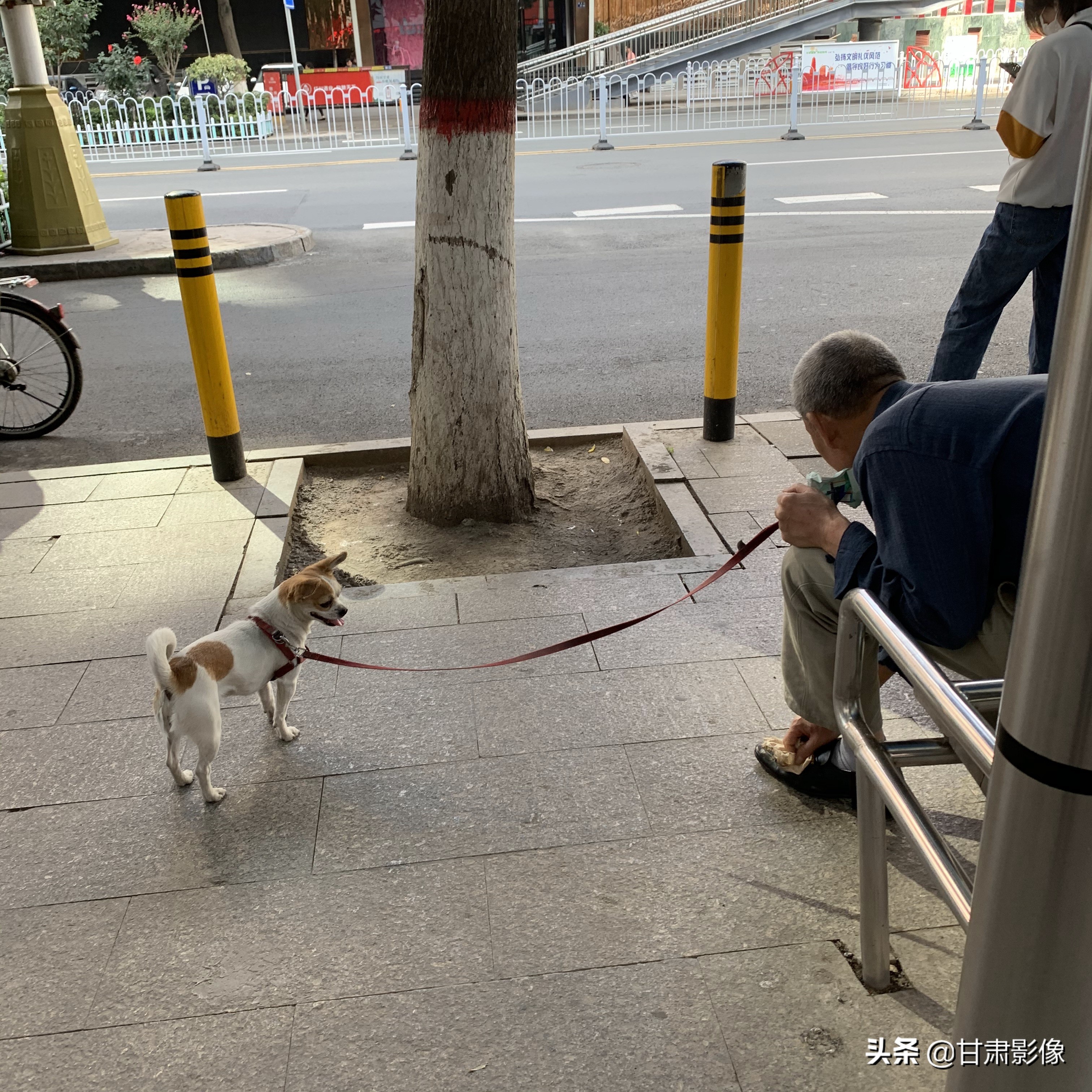 告别2021年的夏天手机摄影,简单手机摄影2020不平凡的一年