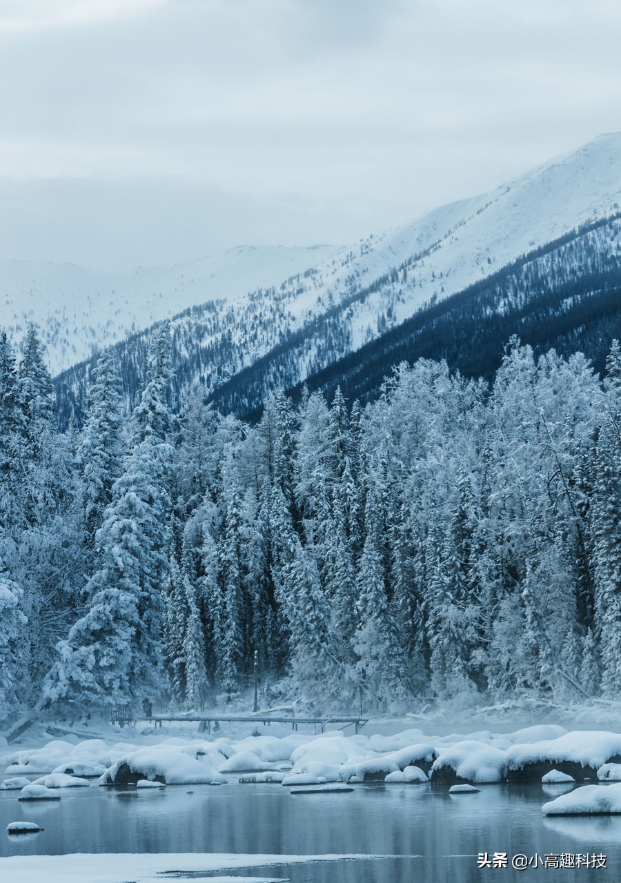 无版权免费视频素材网站手机版,免费好用的无版权图片素材库