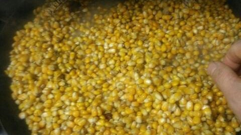 牛窝底料测试,牛窝传奇底料的使用方法