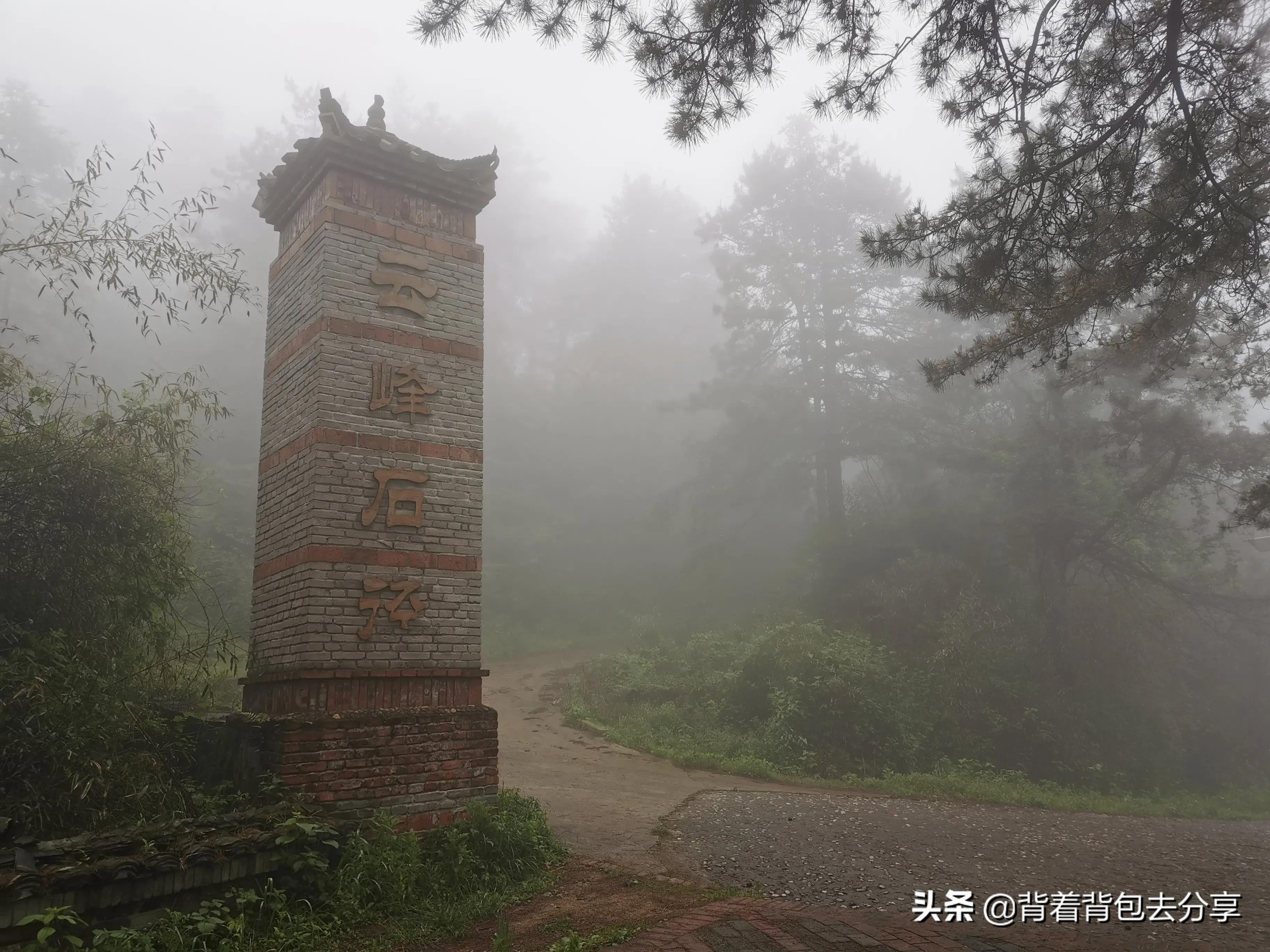麻城龟峰山古杜鹃,面积最大的杜鹃花景区