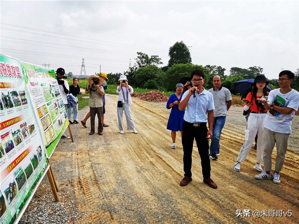 2022媒体花乡行,2023媒体花乡行