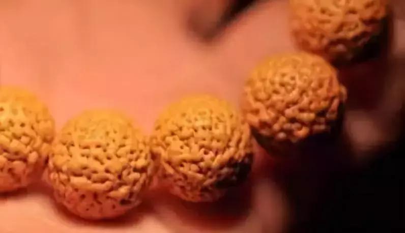 最全的菩提子图解太美了,最好的菩提子