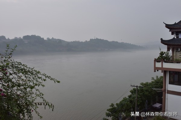 林森完整版免费观看,林森完整视频