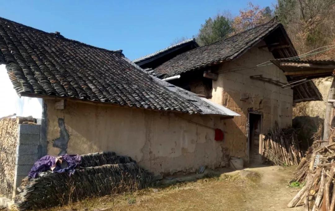 干娘文章的赏析,朗诵散文干娘