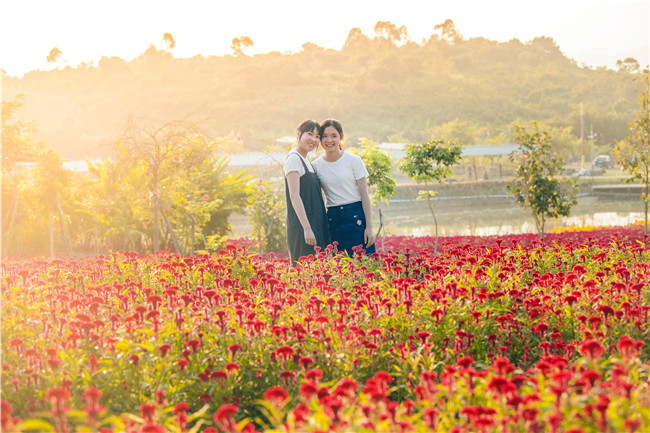 花都美林湖景区,广州花都美林湖攻略