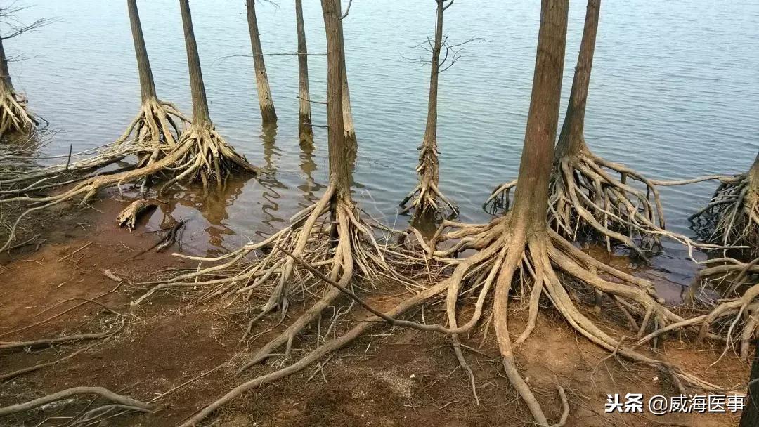 李吉洲：胆大心细，执着创新，“咽喉要道”的守护神