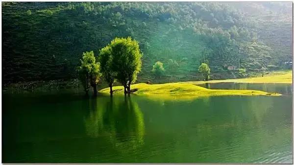 这就是冠军王坚,这就是冠军气场