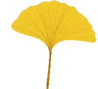 漫步西城|沿着千年时光的脉络,遇见广内~