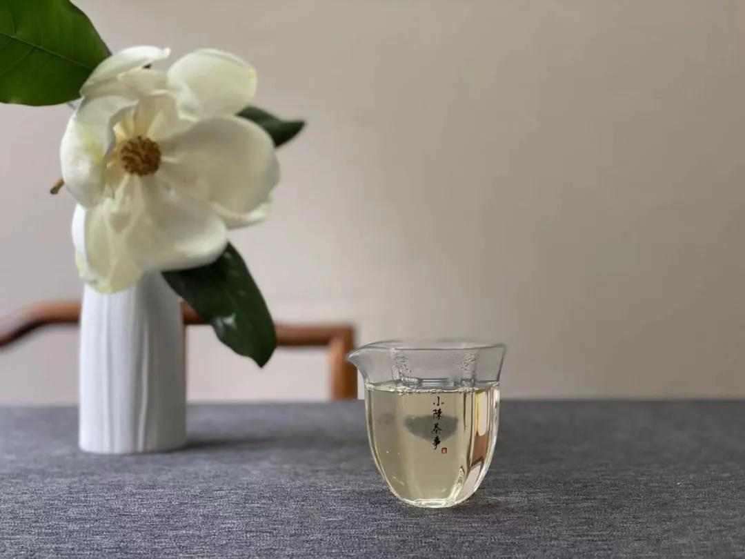 月光白老品种白茶,为什么有人说月光白是普洱茶