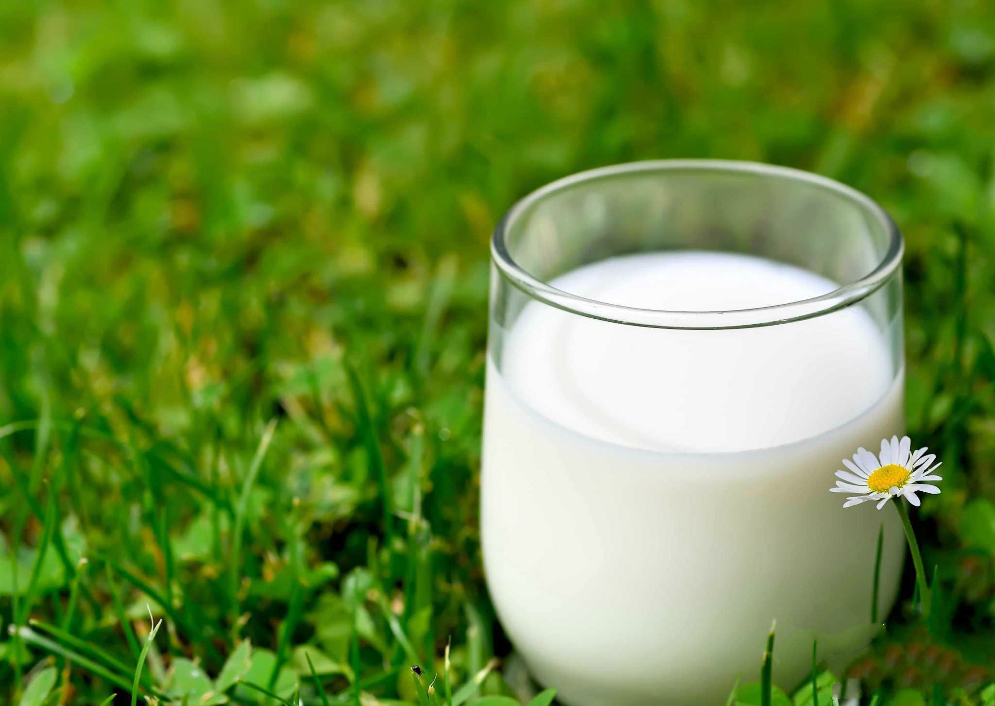 奶水清就是没营养吗,奶水清淡还没有营养