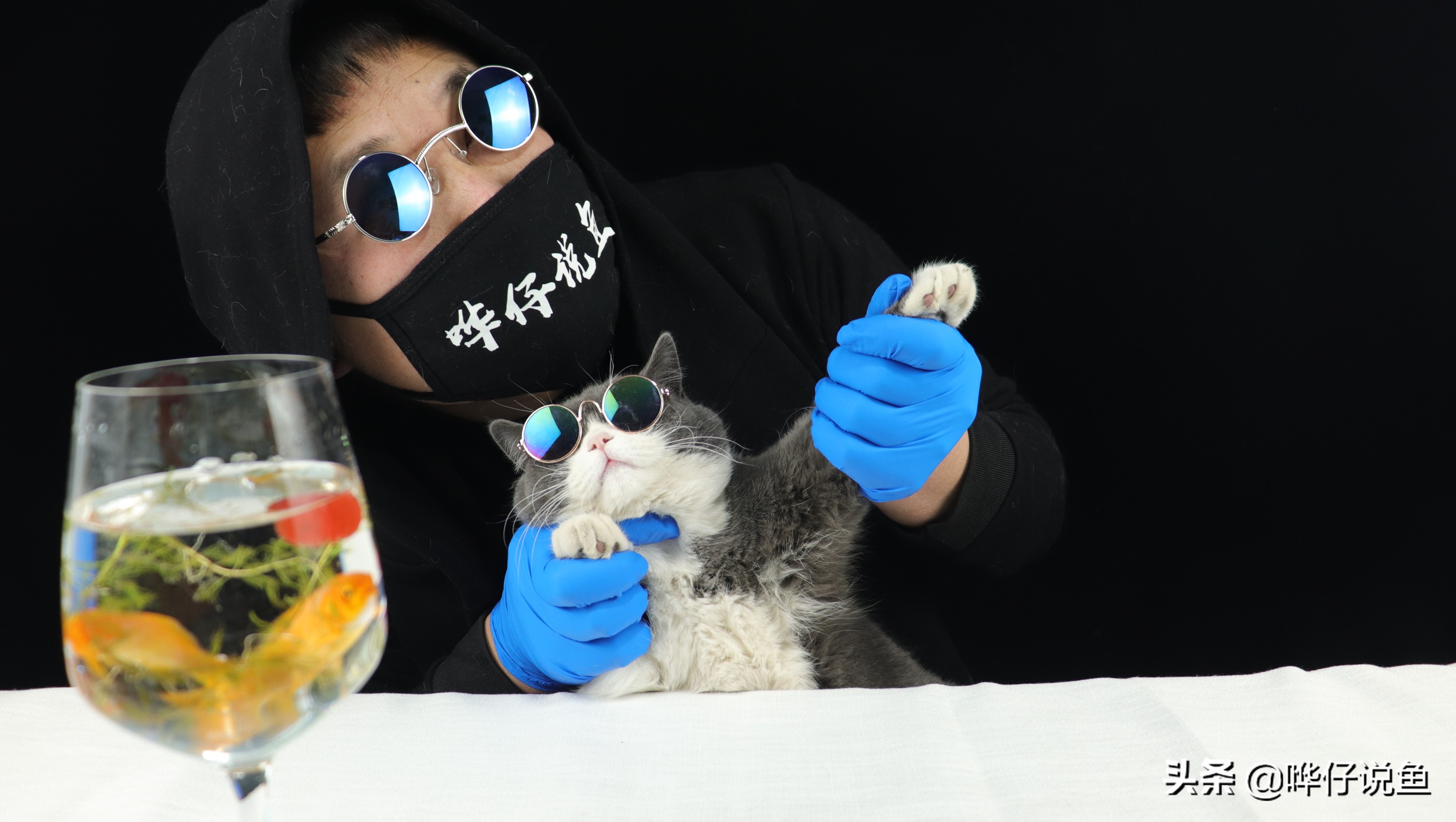 怎样快速培养鱼缸硝化细菌,如何快速培养鱼缸硝化细菌