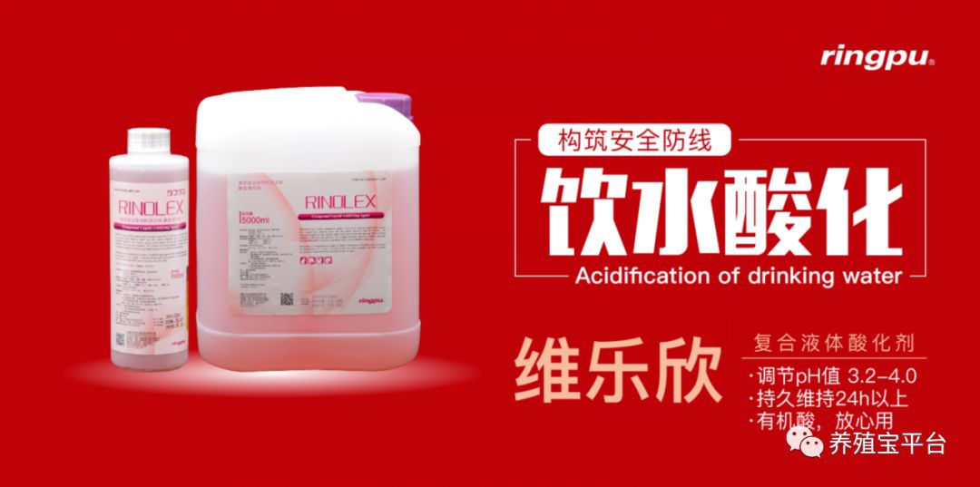 5分钟能杀灭寄生虫,1分钟内能杀灭新冠病毒的消毒剂