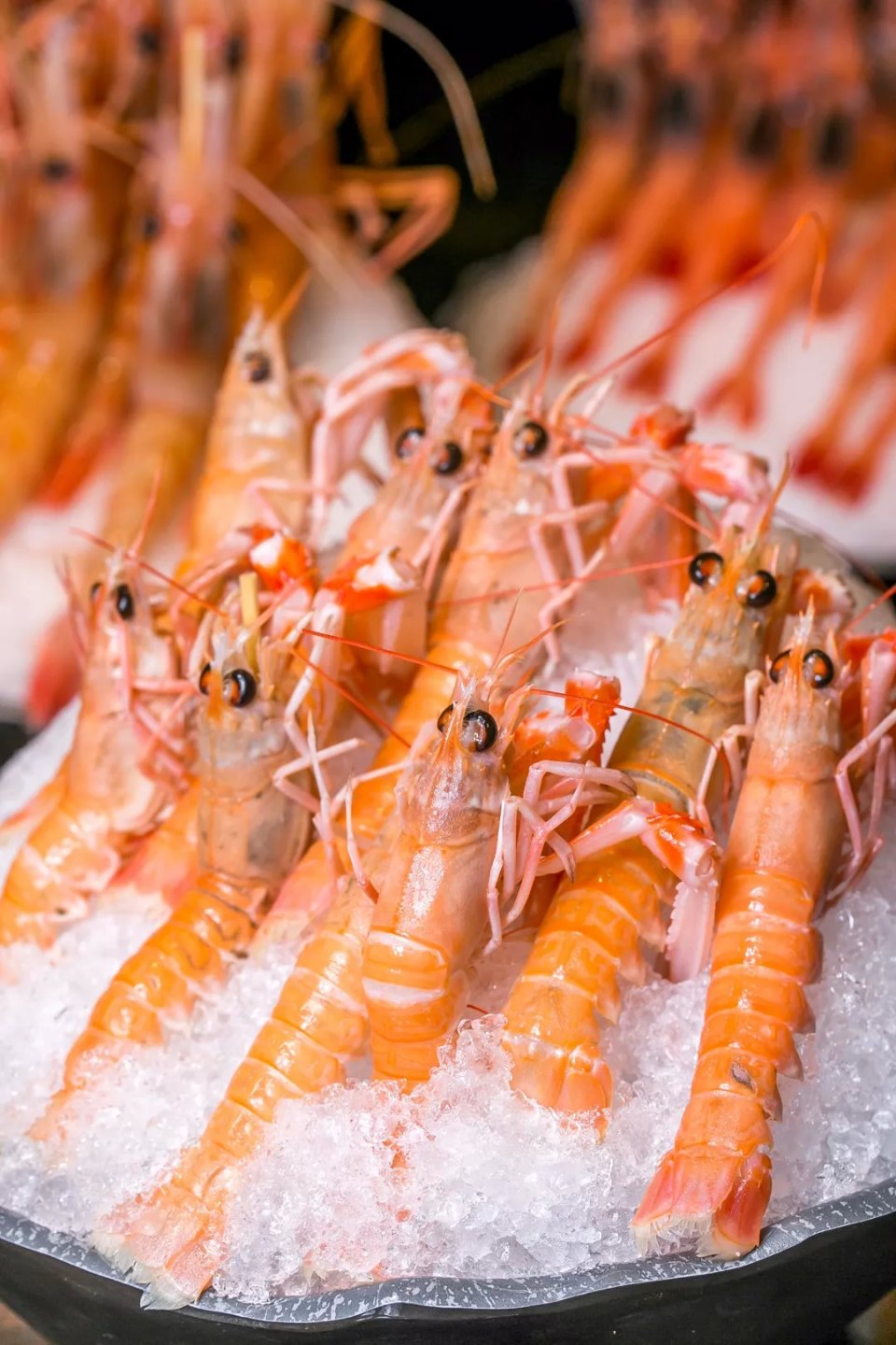 航母海鲜自助,陆家嘴自助帝王蟹