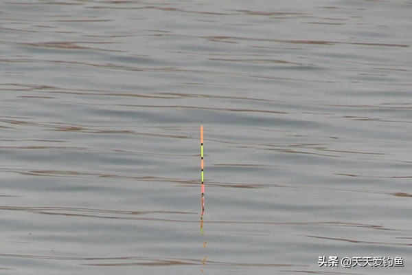 新手钓鱼调漂最简单最实用的方法,钓鱼调漂的正确方法和技巧图解