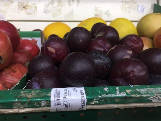 去迪拜旅游看什么东西,去迪拜旅游看到哈利法塔