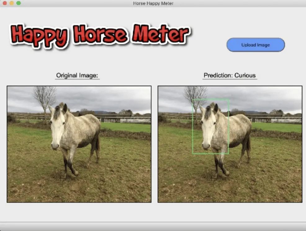 神奇学习机器,机器学习最新应用方向