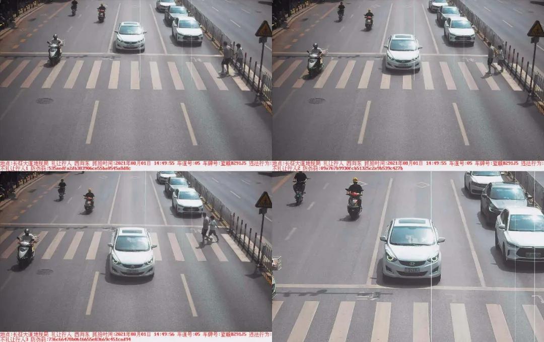 于都礼让行人上哪里举报,于都五中不礼让行人抓拍