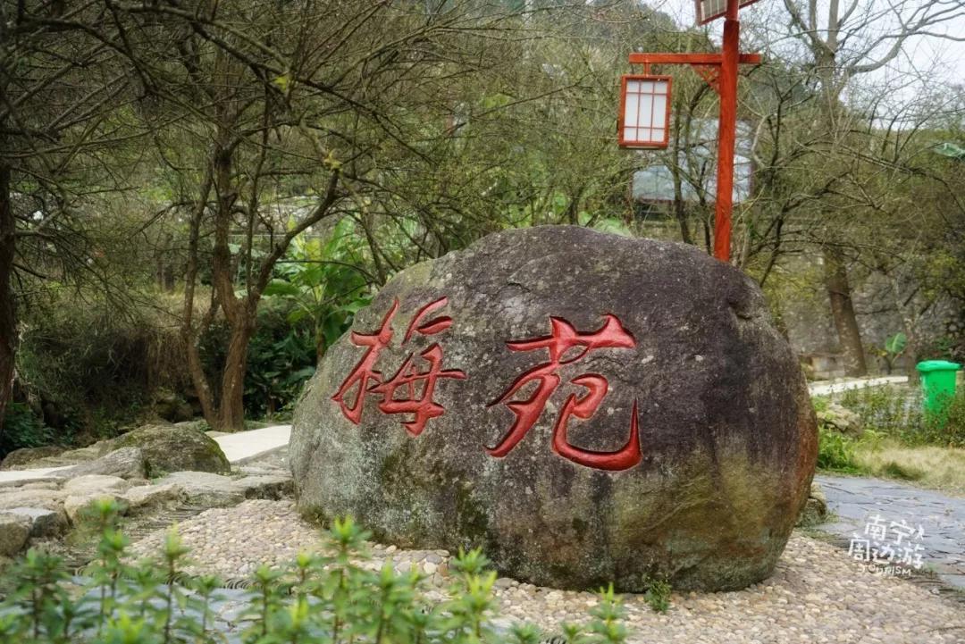 南宁5天旅游攻略最新,南宁一日游有哪些好去处