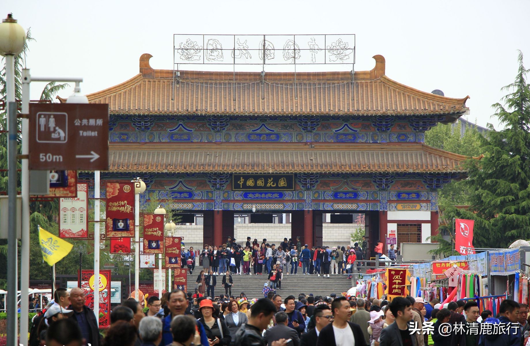 开封是河南第一古都,河南郑州和洛阳旅游哪个好