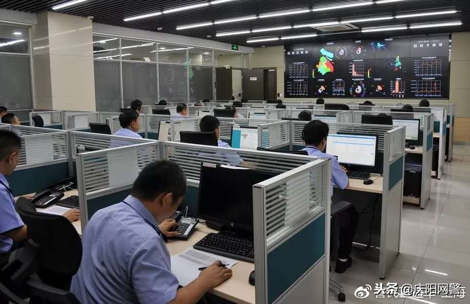 净网2019重拳打击涉网违法犯罪,上海市2021年电信网络诈骗数据