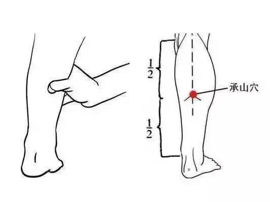 教师节忘了给老师送花怎么补救,教师节送给老师的花怎么处理