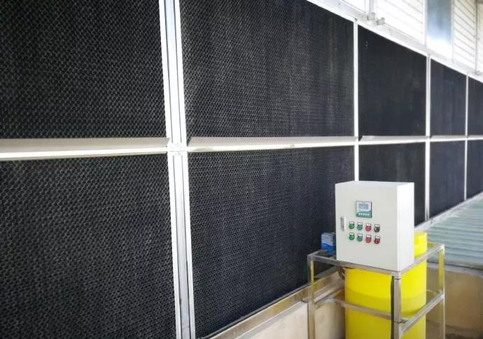 推动畜牧业绿色发展,推动绿色农业乡村振兴