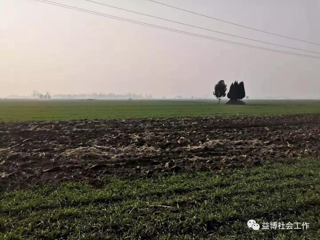 王玉日常生活视频,王玉的日常生活视频