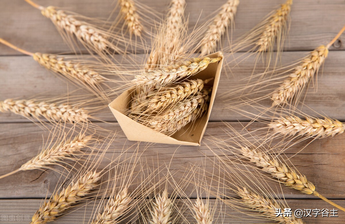 汉字由什么演变而来的,汉字从何演变而来