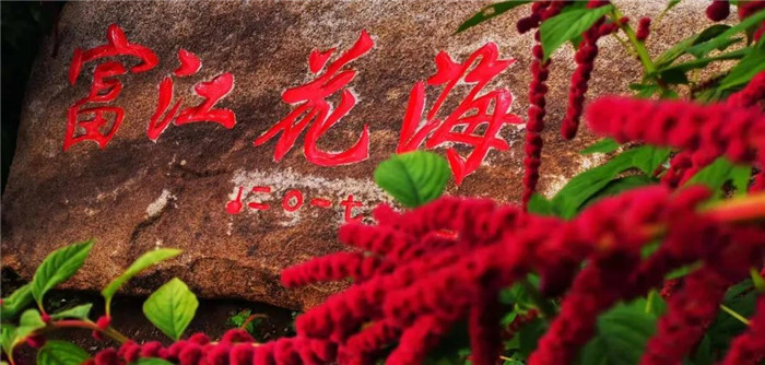 22℃的夏天丨河灯初上夜未央，花海骄艳扑鼻香，这就是富江