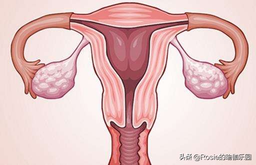 经常生闷气怎么做瑜伽,对子宫卵巢有帮助的瑜伽动作