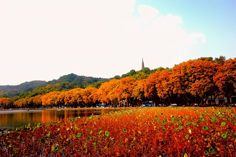 杭州新鸿基江河汇超级地标,杭州十大必去的夜景打卡点免费