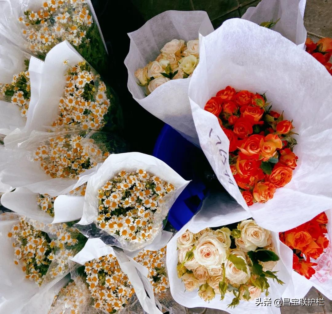 石家庄汇春博物园,石家庄汇春花卉市场几路公交