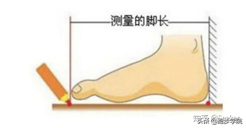 跑马新手推荐跑鞋,跑步新手挑选跑鞋主要看什么