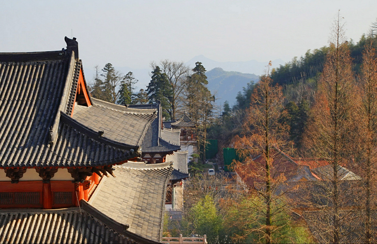 读书分享苏轼,读书分享日本