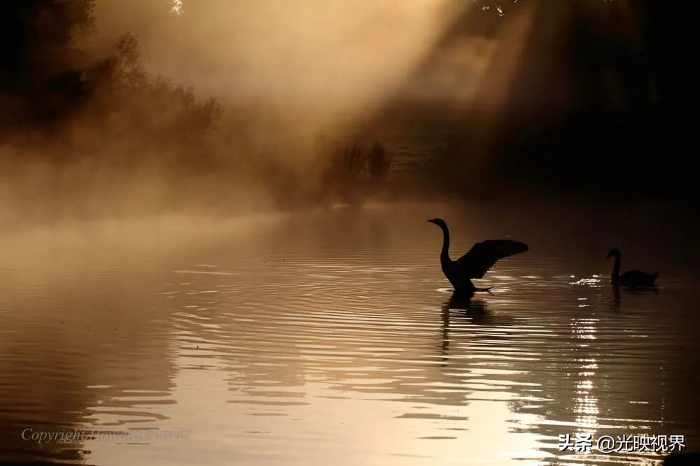 捕捉美好瞬间30张照片,捕捉震撼的瞬间
