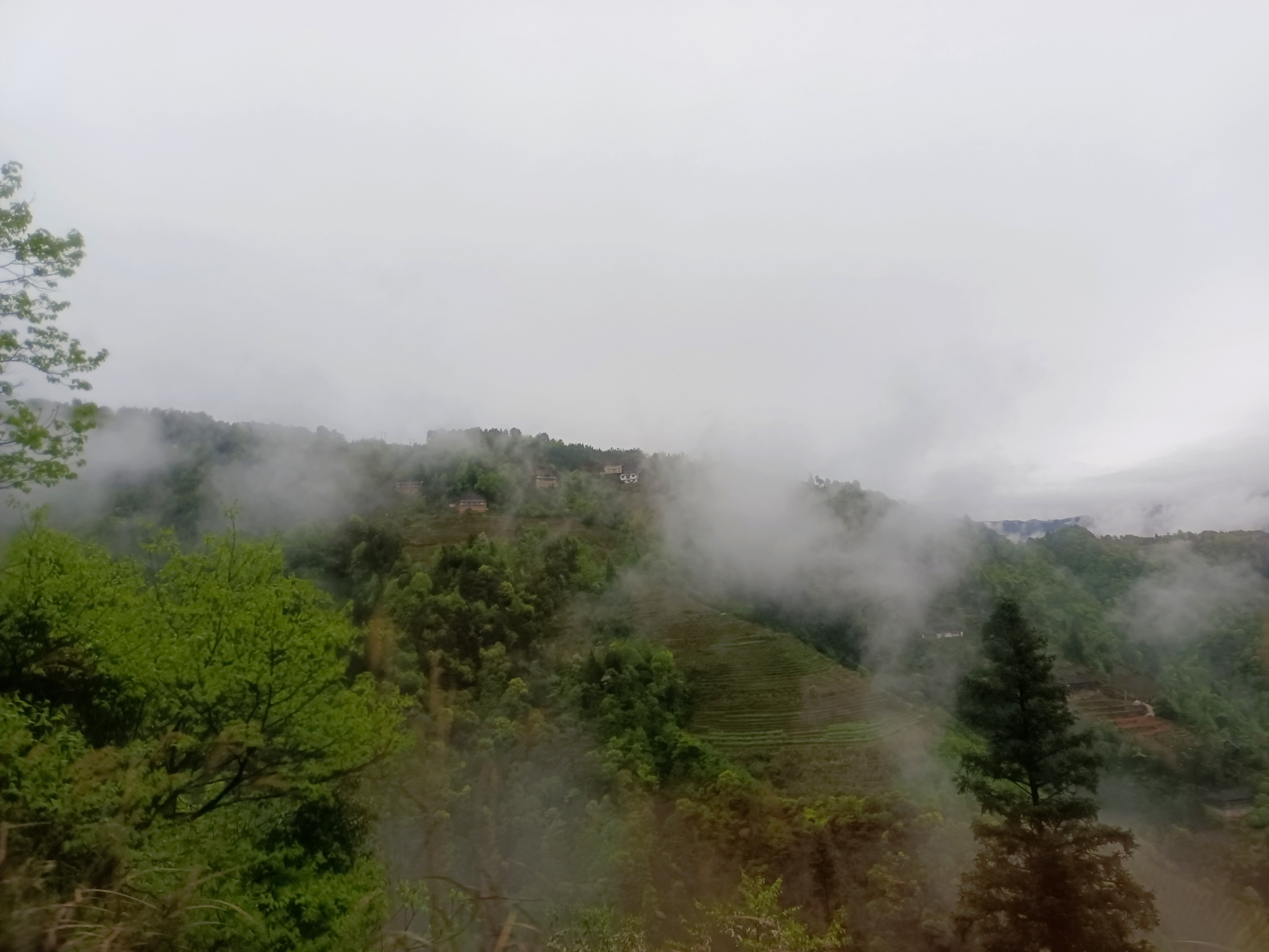 桂林龙脊梯田一天游玩攻略,桂林龙脊梯田旅游详细攻略