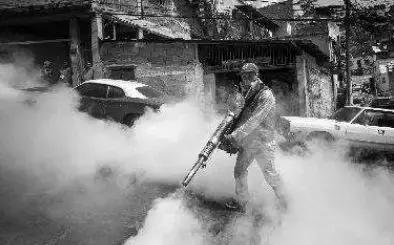 除螨产品可靠吗,除螨的产品真的管用吗